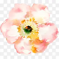 ¹ú»»¨¶äË®²ÊÕýÃæ-¿ÕÈôÍø ¹ú»»¨¶äË®²ÊÕýÃæ-¿ÕÈôÍø