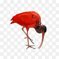 ϡ�ж�����-������