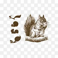 松鼠-空若网 松鼠-空若网