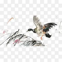 展开翅膀的鸭子飞过芦苇荡-空若网 展开翅膀的鸭子飞过芦苇荡-空若网