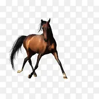 手绘素材手绘 骏马-空若网 手绘素材手绘 骏马-空若网