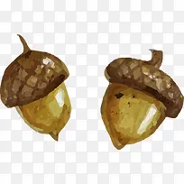 矢量手绘坚果-空若网 矢量手绘坚果-空若网