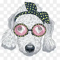 �ɰ�С����-������