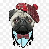 可爱狗狗-空若网 可爱狗狗-空若网