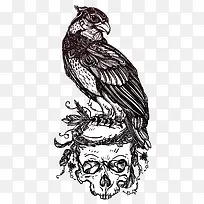 ��ӥ���ò廭-������