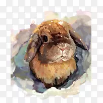 Ë®²Ê»ÒÕÊõ»æ»ÊÖ»æË®²Ê»ÍÃ-¿ÕÈôÍø Ë®²Ê»ÒÕÊõ»æ»ÊÖ»æË®²Ê»ÍÃ-¿ÕÈôÍø