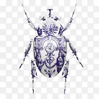 �׿ǳ�-������