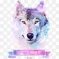 矢量彩绘狗狗-空若网 矢量彩绘狗狗-空若网