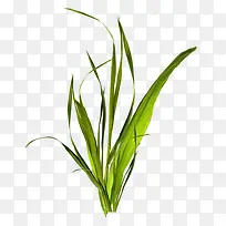 Ұ��С��-������