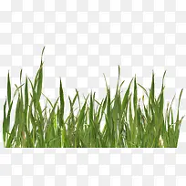 �����Ӳ�-������