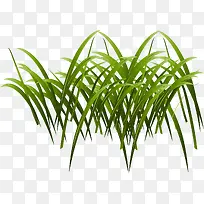 卡通绿色小草-空若网 卡通绿色小草-空若网