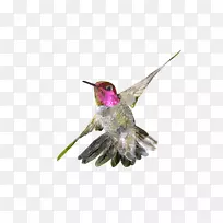 ·äÄñË®²Ê»»æ»¼ÐÒÕÊõ·äÄñ-¿ÕÈôÍø ·äÄñË®²Ê»»æ»¼ÐÒÕÊõ·äÄñ-¿ÕÈôÍø