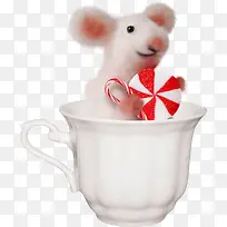 ����png�������-������