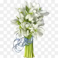 ��ɫ����-������