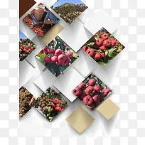 水果-空若网 水果-空若网