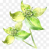 �̲�-������