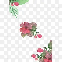 ˮ�ʻ��䱳���߿�-������