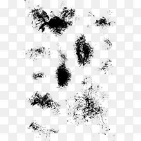 ����ʱ��ī�����Ԫ��-������