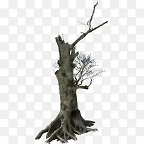 ��ľ��֦PNG�ز�098-������