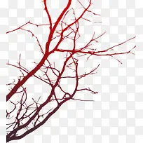 树枝-空若网 树枝-空若网