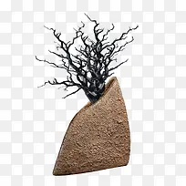 ����ʯƿ-������