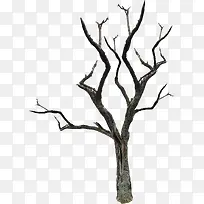 �����ز�-������