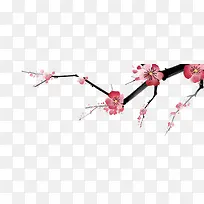 梅花树枝元素-空若网 梅花树枝元素-空若网