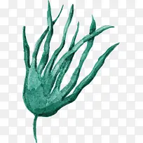 世界海洋日手绘海草-空若网 世界海洋日手绘海草-空若网