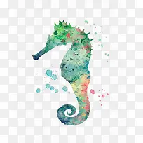 水彩海马-空若网 水彩海马-空若网