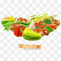 �����߲�-������