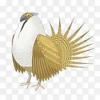 矢量怪鸟-空若网 矢量怪鸟-空若网