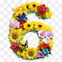 �ʻ�����6-������