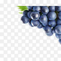 ˮ��-������