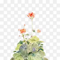 水彩艺术唯美花纹图案-空若网 水彩艺术唯美花纹图案-空若网