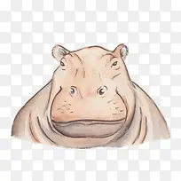 矢量水彩河马头像-空若网 矢量水彩河马头像-空若网