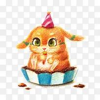 过生日的小猫-空若网 过生日的小猫-空若网