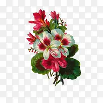 �ɲ廭��-������