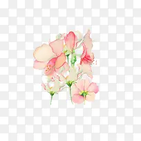 花朵-空若网 花朵-空若网