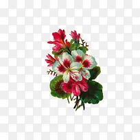 »¨»ÜÔªËØ-¿ÕÈôÍø »¨»ÜÔªËØ-¿ÕÈôÍø