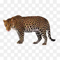 ��Ǯ��-������