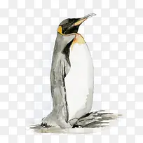 ʸ�����-������