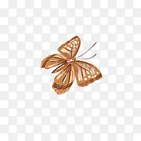 灰色的小蝴蝶-空若网 灰色的小蝴蝶-空若网