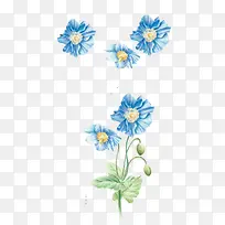 À¶»¨-¿ÕÈôÍø À¶»¨-¿ÕÈôÍø