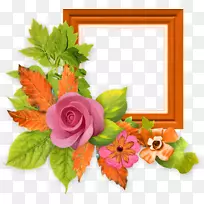 ֽ�����򻨻����-������