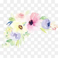 Ë®²Ê»ÏÊ»¨Ê¸Á¿-¿ÕÈôÍø Ë®²Ê»ÏÊ»¨Ê¸Á¿-¿ÕÈôÍø