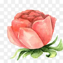 Ë®²Ê»»¨»Ü-¿ÕÈôÍø Ë®²Ê»»¨»Ü-¿ÕÈôÍø