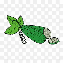 手绘丝瓜-空若网 手绘丝瓜-空若网