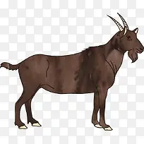 ɽ��ˮ�ʻ�-������