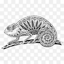 动物-空若网 动物-空若网