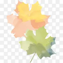 ˮ����Ҷ-������